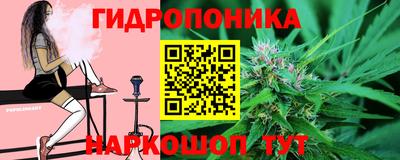 амф Донской