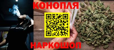 амф Донской