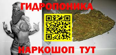 амф Донской