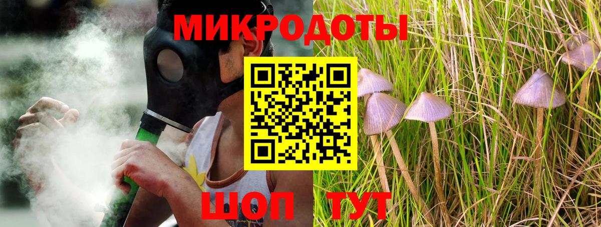 Псилоцибиновые грибы MAGIC MUSHROOMS  сколько стоит  Грязи  Вход с VPN 