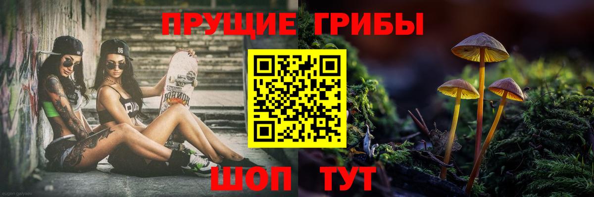Галлюциногенные грибы Psilocybine cubensis Грязи